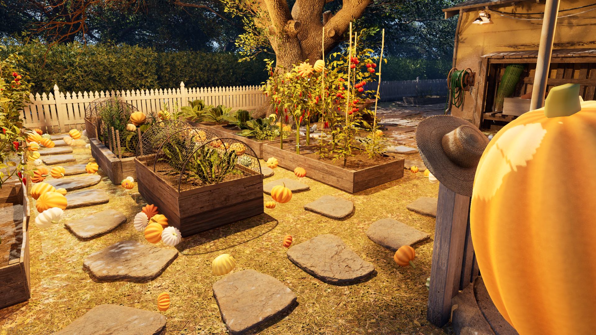The garden full of pumpkins waiting to be sorted